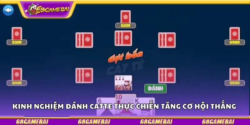 Kinh nghiệm đánh Catte thực chiến tăng cơ hội thắng